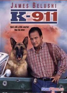 -911 (1999)