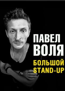 Большой Stand Up Павла Воли (2013)